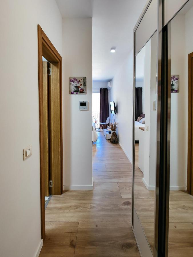 Brand New Studio With Panorama View Kotor Exterior photo